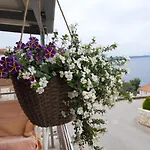 Kovacevic Trogir