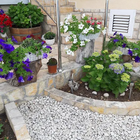 Kovacevic Apartman *