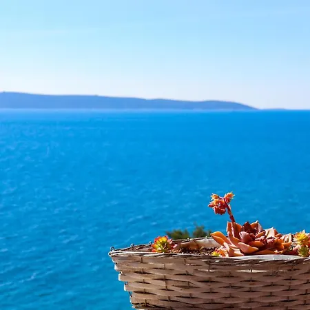 Kovacevic Apartament Trogir