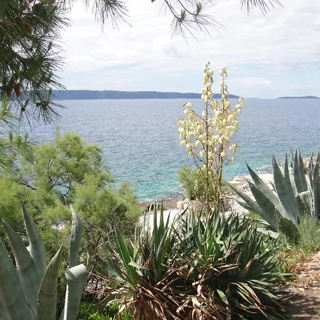 Apartman Kovacevic *