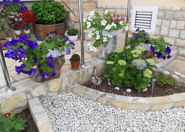 Kovacevic Apartament *