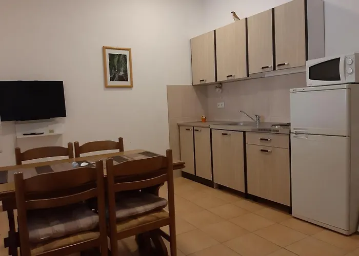 Kovacevic Apartament *