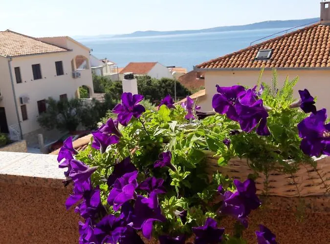 Kovacevic Apartament