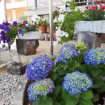 Apartman Kovacevic