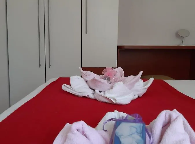 Kovacevic Трогір