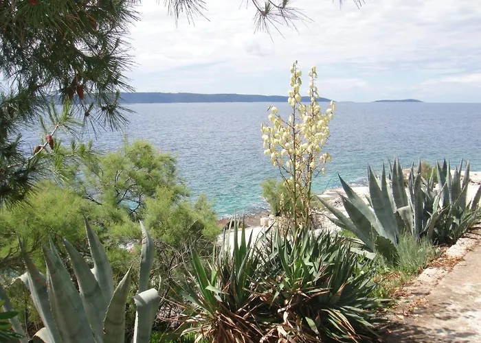 Lägenhet Kovacevic *